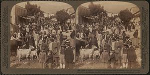 In Sparta - villagers and countrymen on market day - W. through Ares St. to mountains, Greece