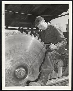 Millions of feet of war lumber have come from the teeth of this fifty-two inch saw. A section of a portable mill, the huge saw gets its fangs sharpened by William Leonard.