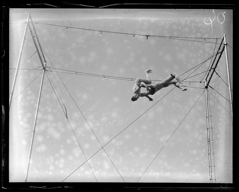Trapeze performers