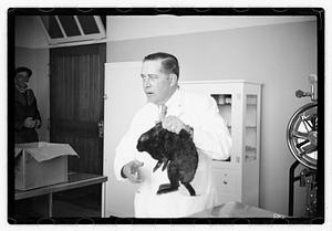 Dr. Dailey Angell Memorial Animal Hospital