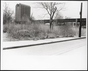 Elmore Street, Roxbury, Boston