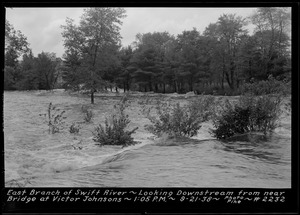 Swift River, flood photo, East Branch, looking downstream from near bridge at Victor Johnson's, Hardwick, Mass., 1:05 PM, Sept. 21, 1938