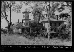 Swift River, flood photo, Enfield office, showing fallen trees, Enfield, Mass., Sept. 22, 1938