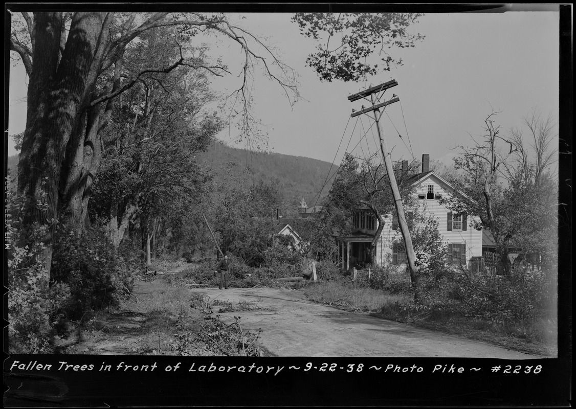 Swift River, flood photo, fallen trees in front of Laboratory, Enfield, Mass., Sept. 22, 1938