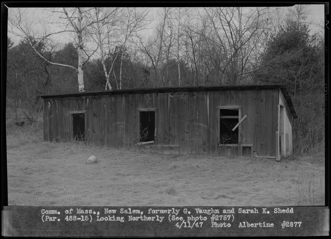 Commonwealth of Massachusetts, formerly G. Vaughn and Sarah K. Shedd, shed, looking northerly, New Salem, Mass., Apr. 11, 1947