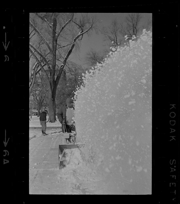 Snow blower in the Public Garden