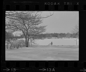 Frozen pond