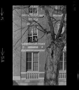 Student sitting in window at Amherst College during building occupation