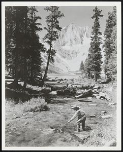 Spring is an Ideal time for anglers to fish for trout in the Colorado Rockies. Nearly 20 million rainbow, cutthroat, brown and mackinaw trout are harvested annually from Colorado’s cascading streams and glacial lakes.