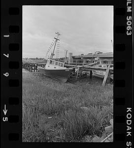 Fishing boats at Salisbury waterfront