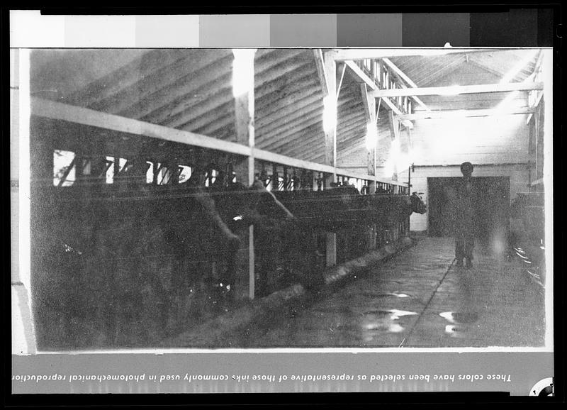 Sawin’s barn, interior, South St.