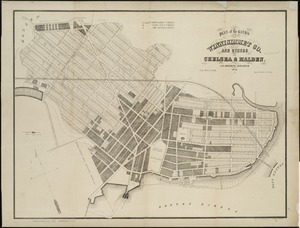 Plan of the lands of the Winnisimmet Co. and others in Chelsea & Malden