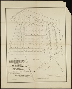 Plan of 82 building lots, in the town of Brighton, comprising 48 acres of the Parkman Farm next the estate of Saml. Bigelow Esqr