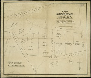 Plan of the Sumner Estate in Brookline