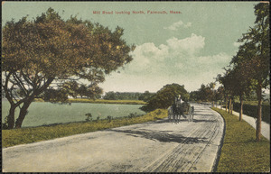 Mill Road looking North, Falmouth, Mass.