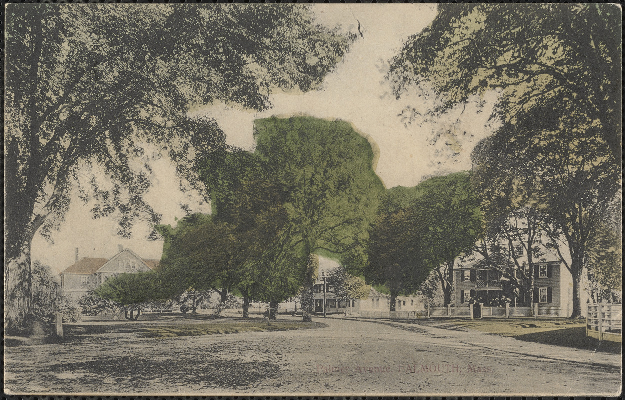 Palmer Avenue, Falmouth, Mass. Digital Commonwealth