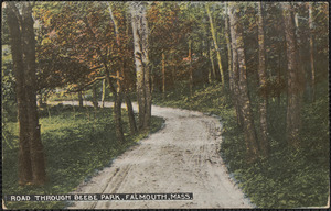 Road Through Beebe Park, Falmouth, Mass.