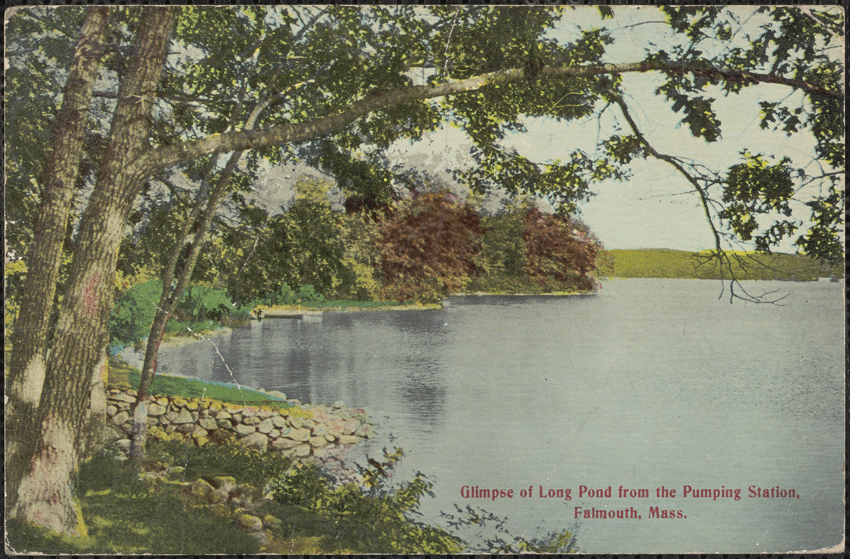 Glimpse of Long Pond from the Pumping Station, Falmouth, Mass. Digital Commonwealth
