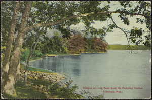 Glimpse of Long Pond from the Pumping Station, Falmouth, Mass.