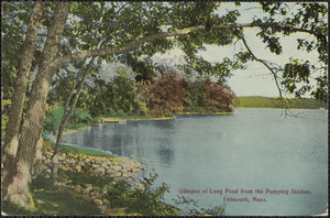 Glimpse of Long Pond from the Pumping Station, Falmouth, Mass.