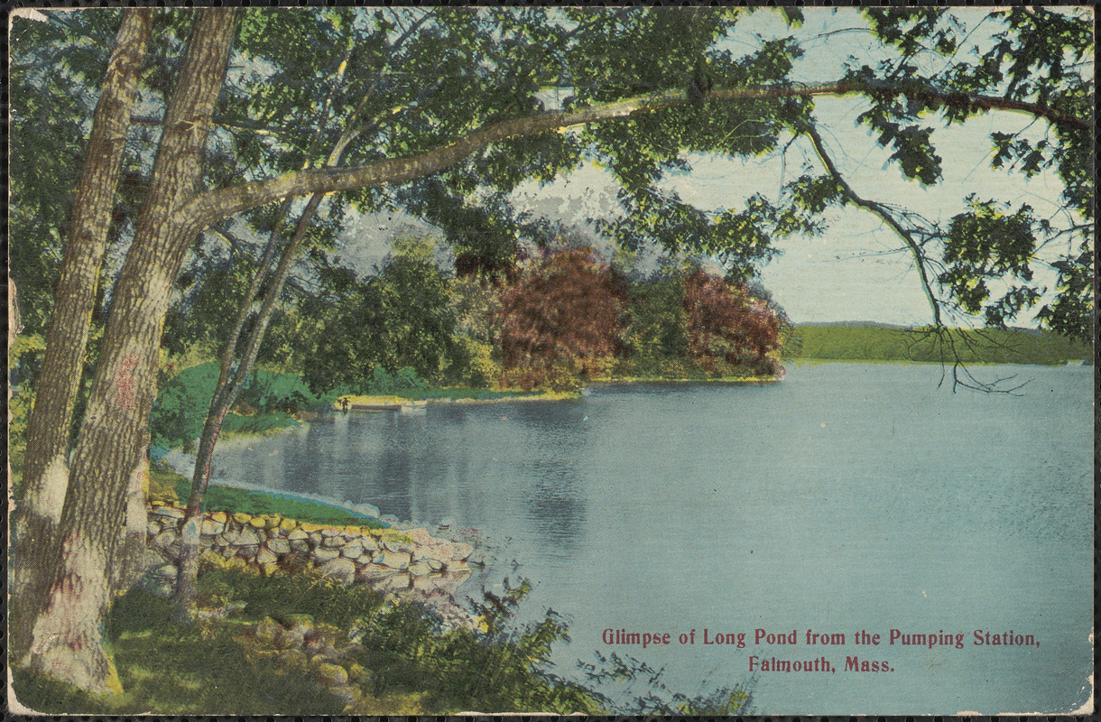Glimpse of Long Pond from the Pumping Station, Falmouth, Mass