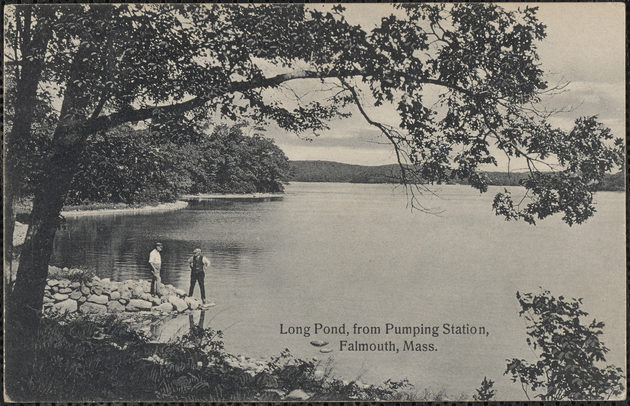 Long Pond, from Pumping Station, Falmouth, Mass. Digital Commonwealth