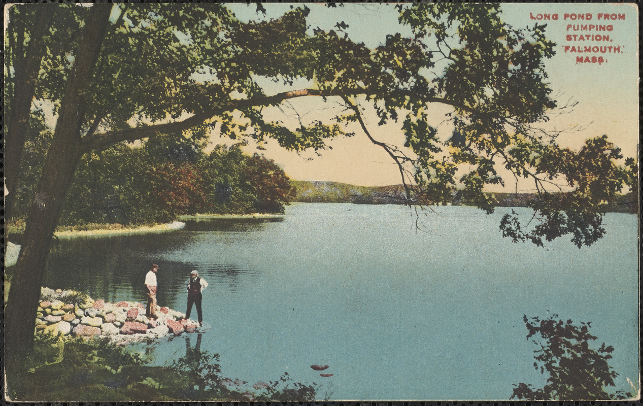Long Pond, from Pumping Station, Falmouth, Mass. Digital Commonwealth