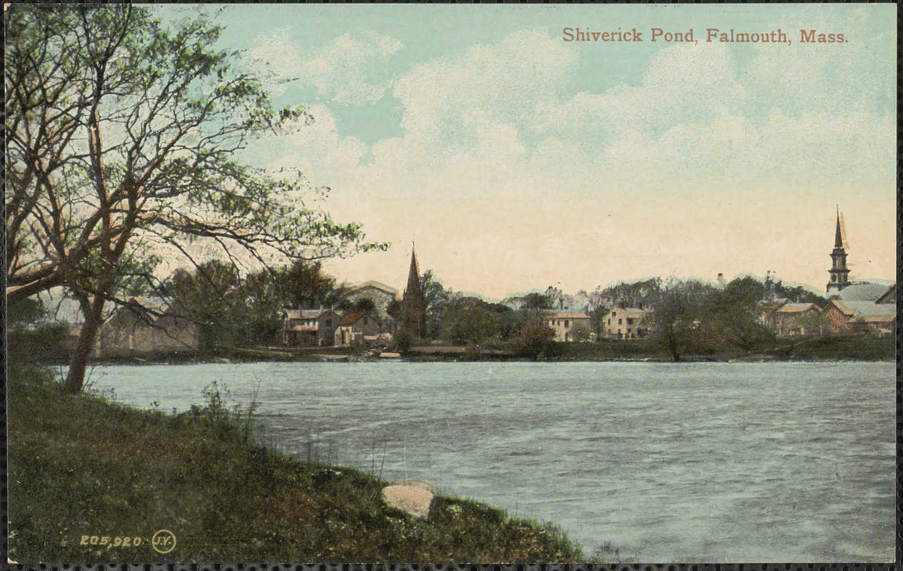 Shiverick Pond, Falmouth, Mass. - Digital Commonwealth