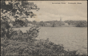 Shinericks Pond. Falmouth, Mass.