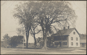 Photo of home with three trees in front yard