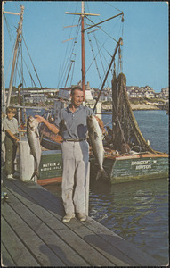 Proud Fisherman with Prize Catch of Bluefish, Cape Cod, Massachusetts