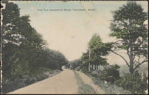 The Old Sandwich Road, Teaticket, Mass.