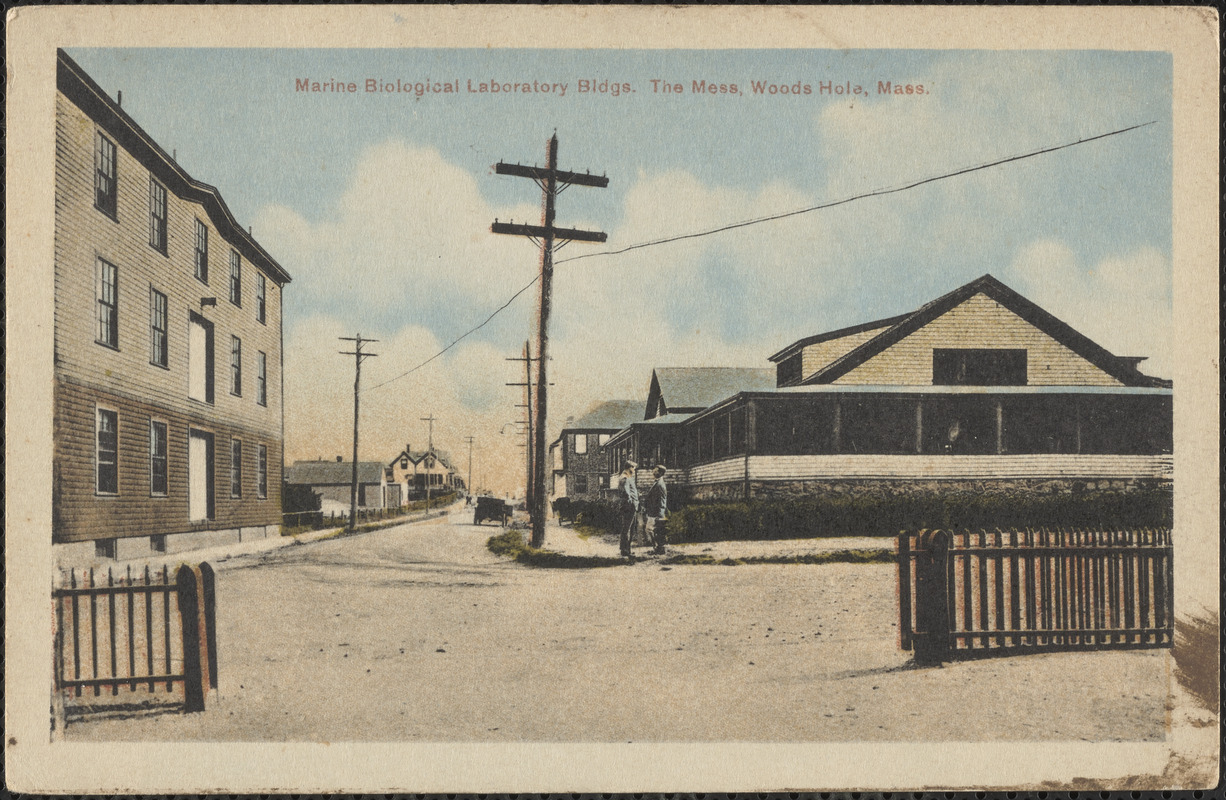 Marine Biological Laboratory Bldgs. The Mess, Woods Hole, Mass
