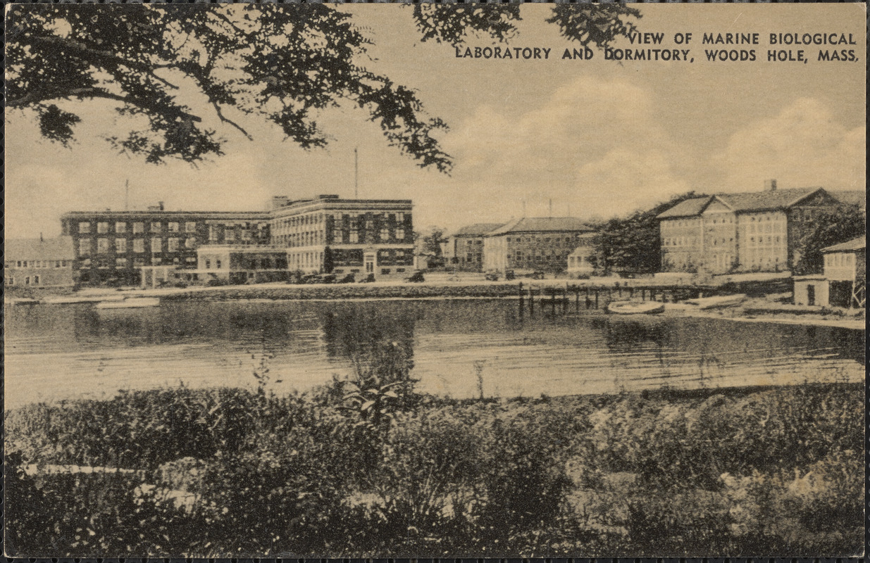 View of Marine Biological Laboratory and Dormitory, Woods Hole, Mass