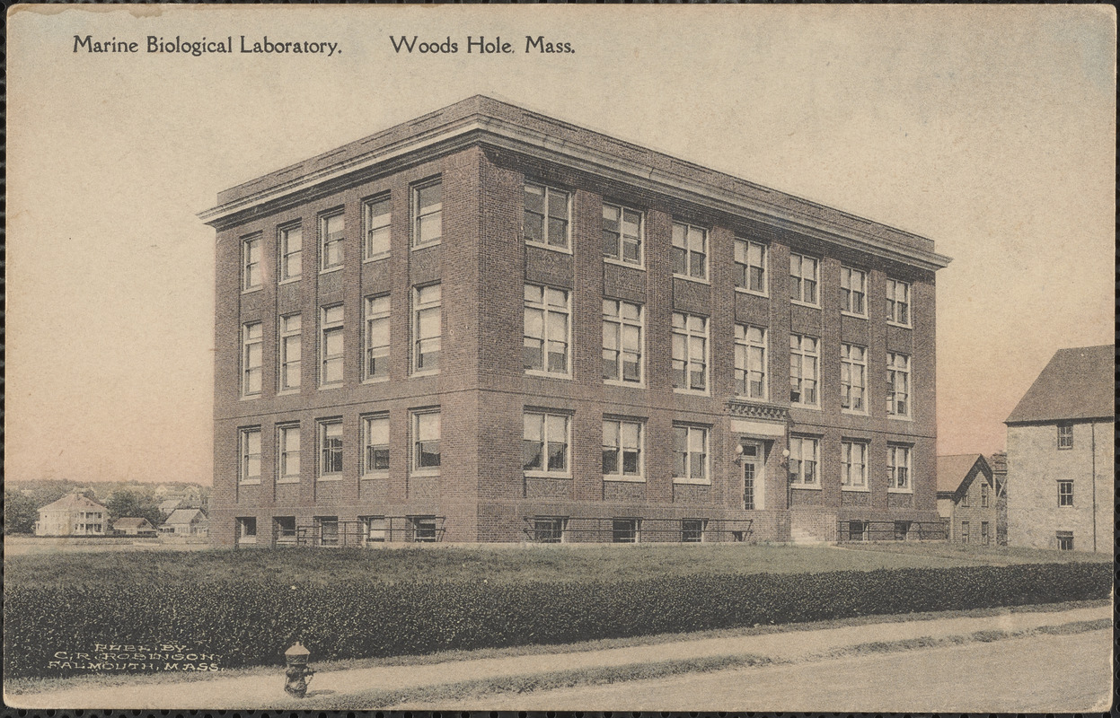Marine Biological Laboratory, Woods Hole, Mass. Digital Commonwealth