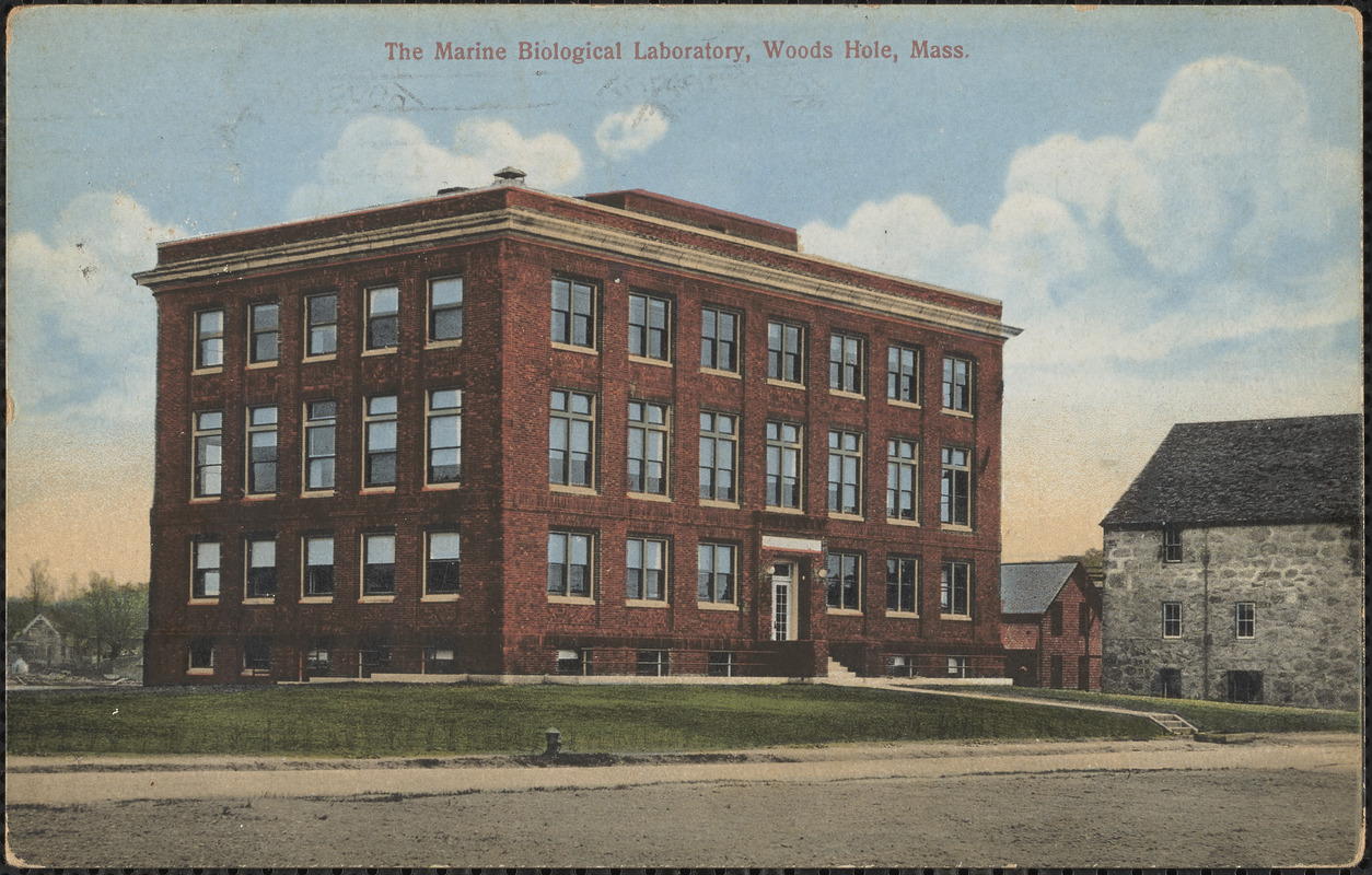 The Marine Biological Laboratory, Woods Hole, Mass. Digital Commonwealth