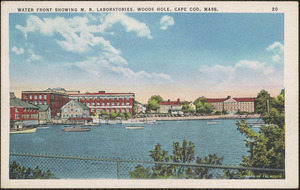 Water Front Showing M. B. Laboratories, Woods Hole, Cape Cod, Mass.