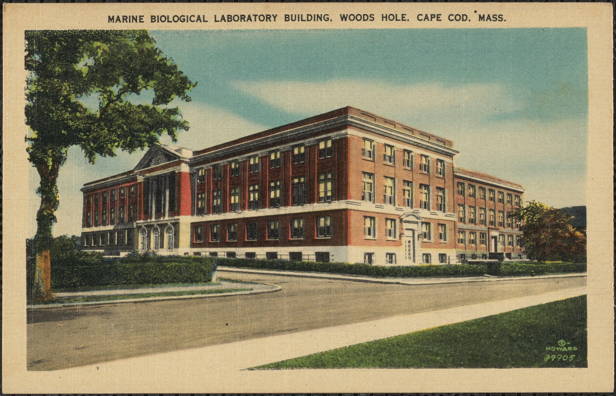 Marine Biological Laboratory Building, Woods Hole, Cape Cod, Mass ...