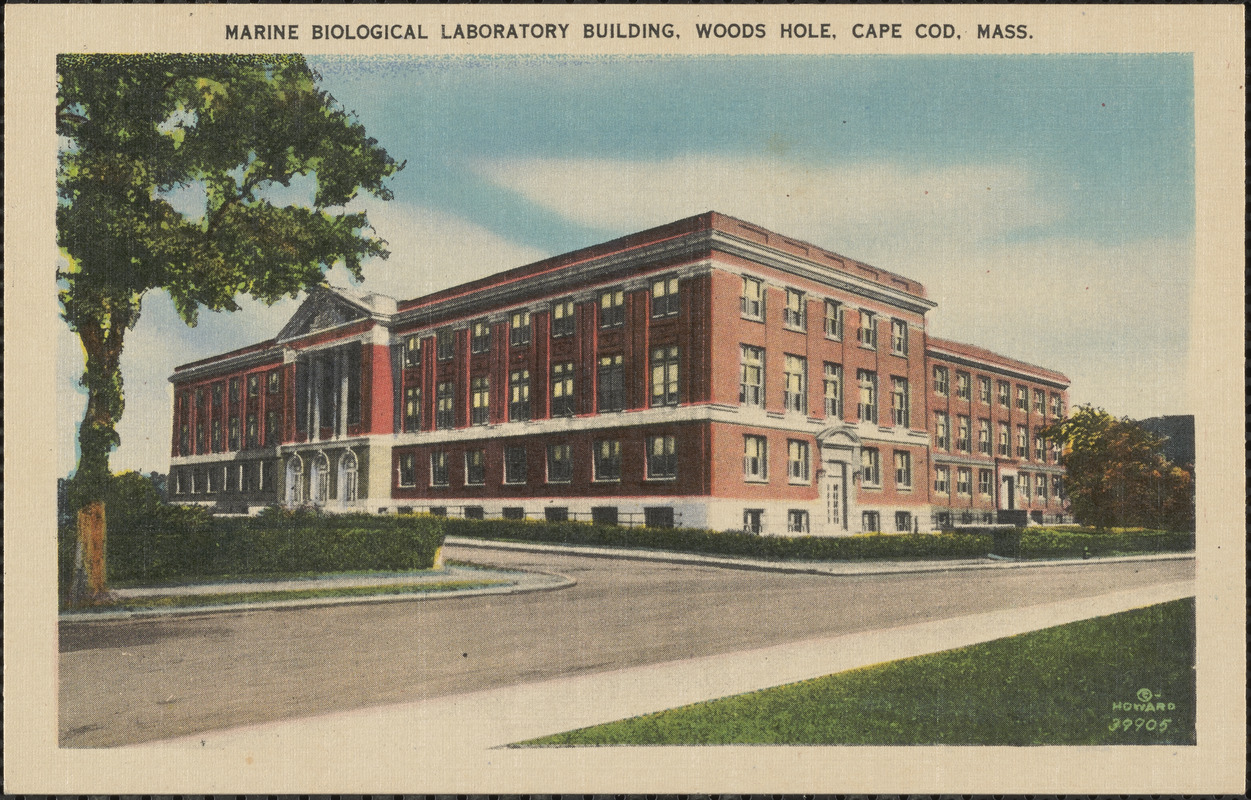 Marine Biological Laboratory Building, Woods Hole, Cape Cod, Mass.