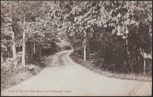 A Bit of Woods Hole Road near Falmouth