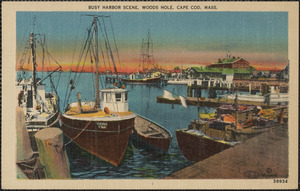 Busy Harbor Scene, Woods Hole, Cape Cod, Mass.