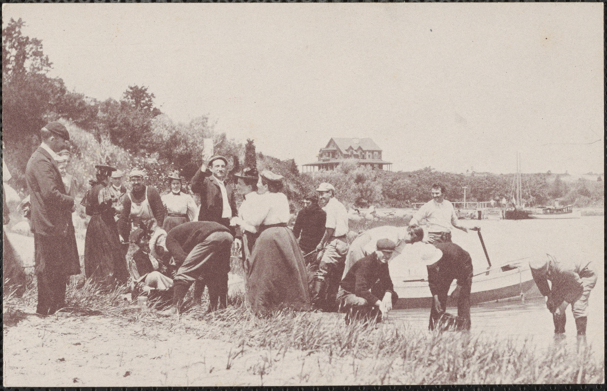 Students of the Marine Biological Laboratory collecting marine specimens at Quisset Harbor, 1897