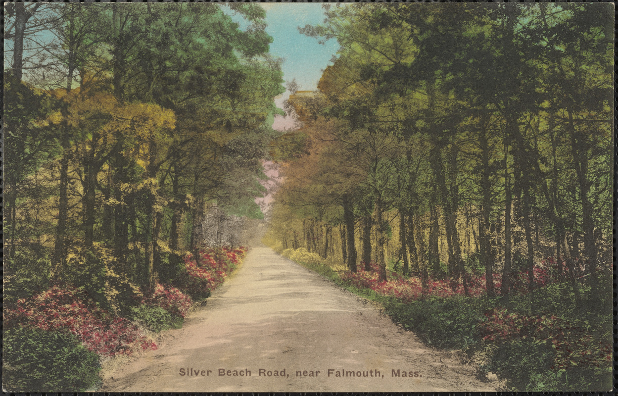 Silver Beach Road, near Falmouth, Mass.