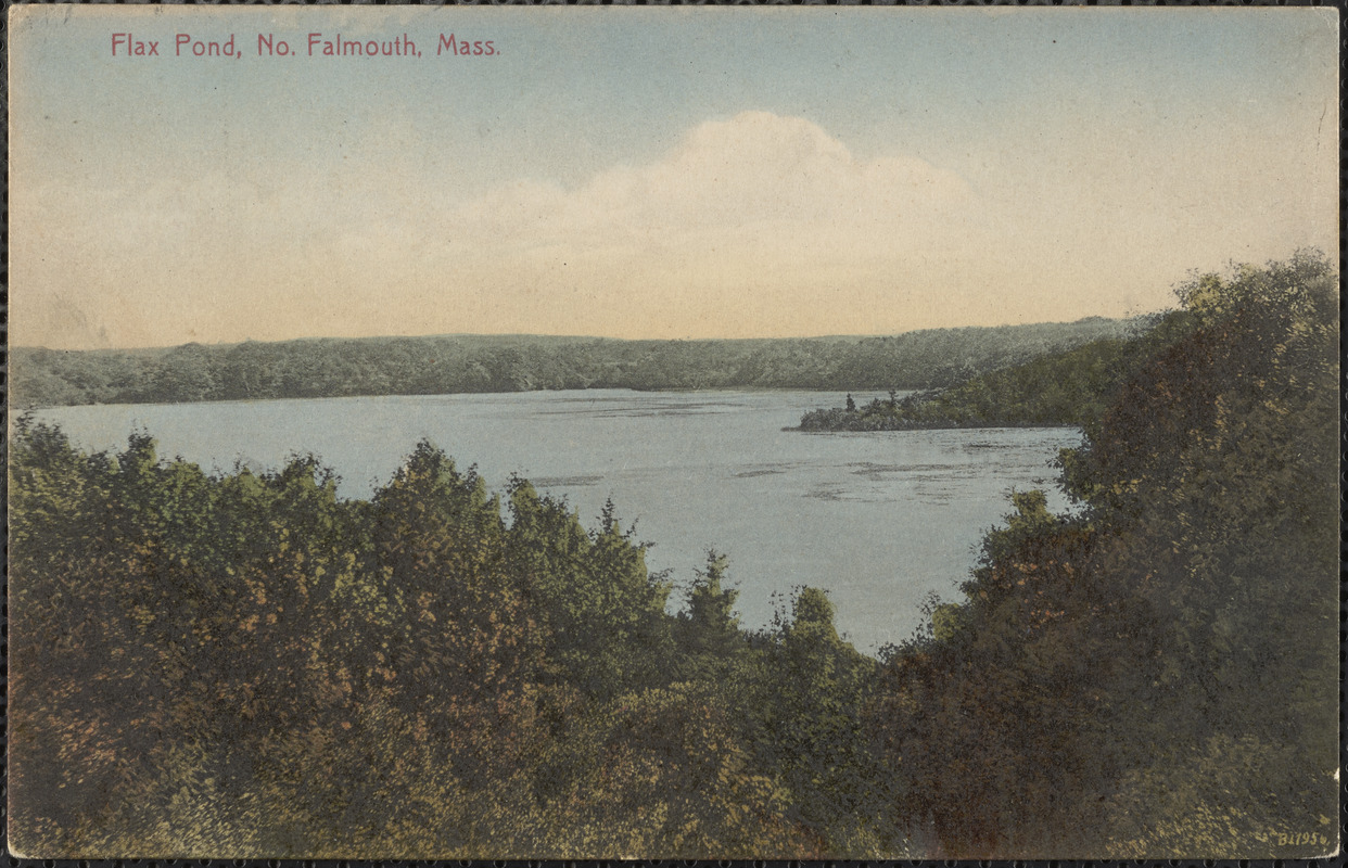 Flax Pond, No. Falmouth, Mass.