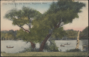 Trout Pond, The Old Willows, Megansett, Mass.