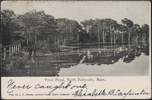 Trout Pond, North Falmouth, Mass.