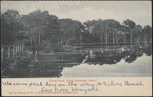 Trout Pond, North Falmouth, Mass.