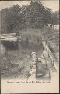 Fish-way, near Trout Pond, No. Falmouth, Mass.