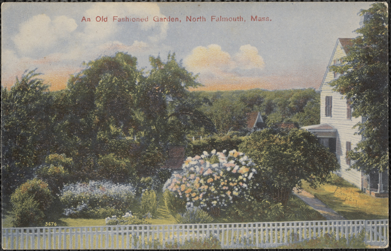 An Old Fashioned Garden, North Falmouth, Mass.