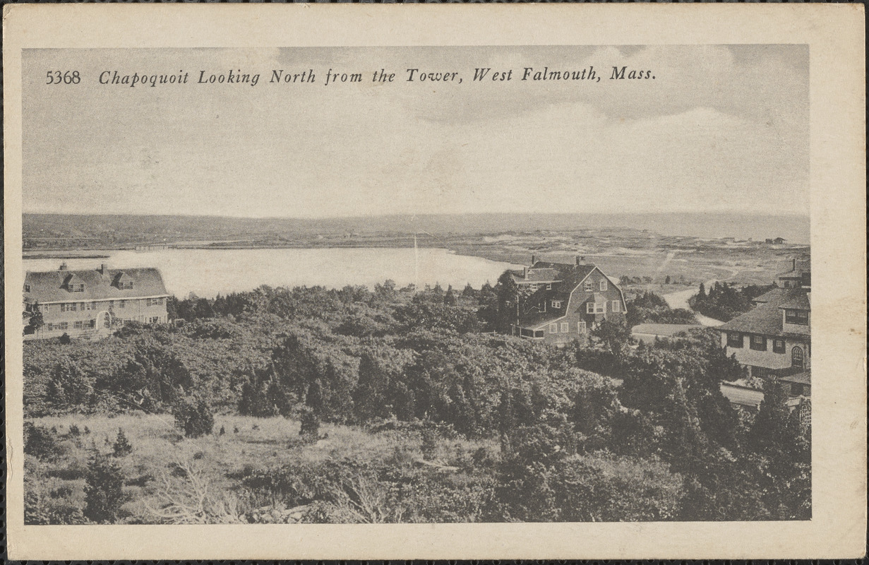 Chapoquoit Looking North from the Tower, West Falmouth, Mass.